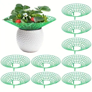 10-Piece Strawberry Plant Stand Set, Includes 3 Durable Stands, Easy Assembly, Anti-Mold, Multi-Functional Plant Support