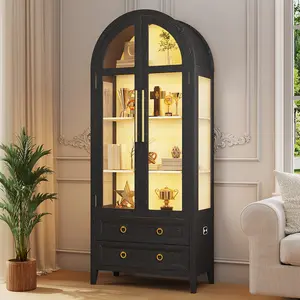 Dystler Arched Glass Display Cabinet, Indoor Living Room Cupboard with Glass Doors and LED Lights