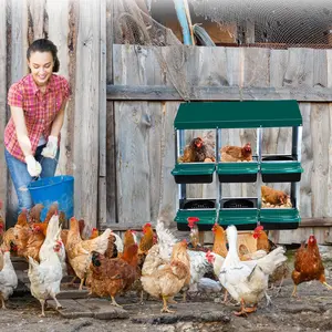 6-Hole Green Galvanized Steel Chicken Nesting Box - Heavy-Duty Roll-Away Hens Laying Box, Lockable Lid, Easy Egg Collection, Easy Cleaning, Outdoor Farm & Backyard Poultry Coop Accessory