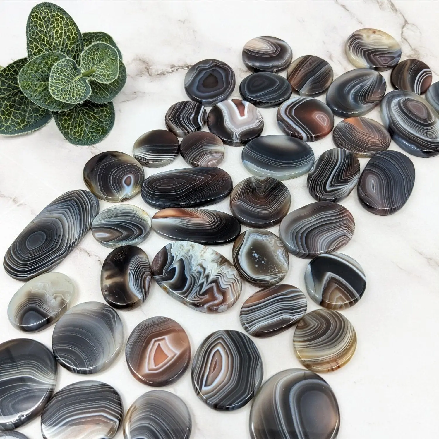 Botswana Agate Round Polished Slice 1-2.3 inches