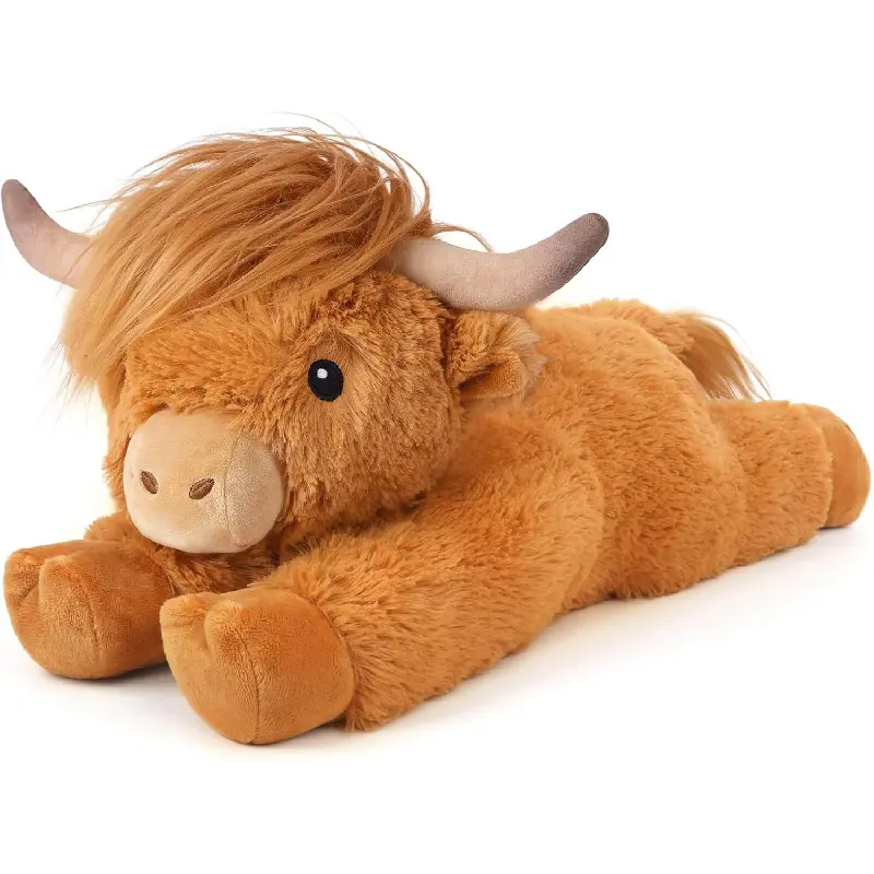 A-Highland Cow -2