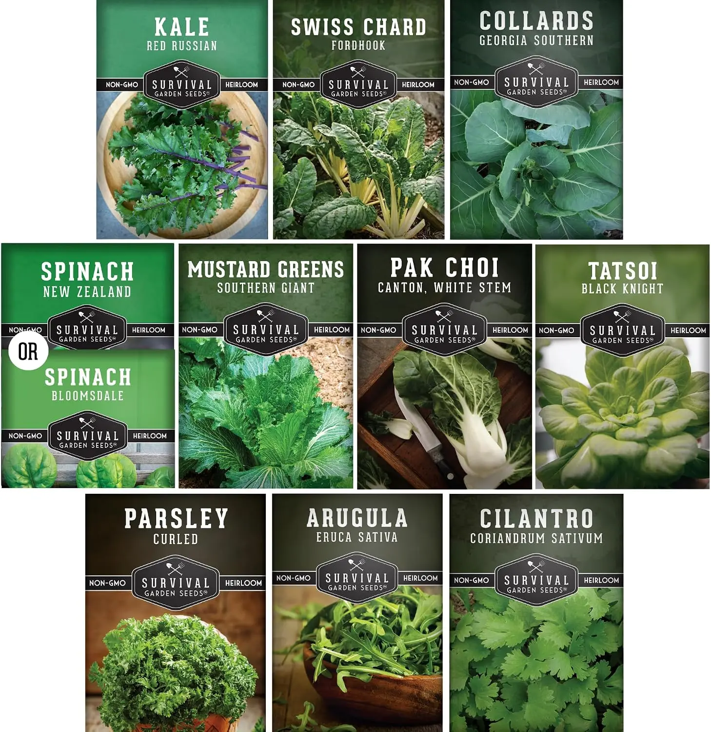 10 Power Greens Seed Collection, Heirloom Non-GMO Vegetable Seeds Including Collards, Mustard Greens, Swiss Chard, Spinach, Kale, Tatsoi & Pak Choi for Home Garden