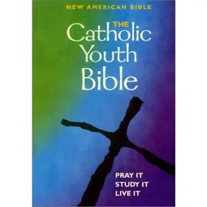 USED Book - Catholic Youth Bible - New American Bible - Pray It, Study It, Live It by Brian Singer-Towns (Hardcover) - english