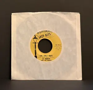 Lee Andrews & The Hearts - Long Lonely Nights - 45 - Lost Nite Records - Near Mint (NM or M-)