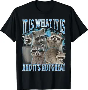 Funny Raccoon Graphic T-Shirt “It Is What It Is” – Unisex Oversized Streetwear Tee, Comfortable Fit