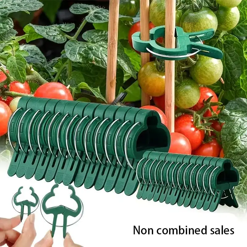 Grafting Clips, 20pcs Greenhouse Clamp Stand, Plastic Plant Clip, Fastener Bracket, Fixed Seed Stem Support Plant Grafting, Plant Care & Support for G