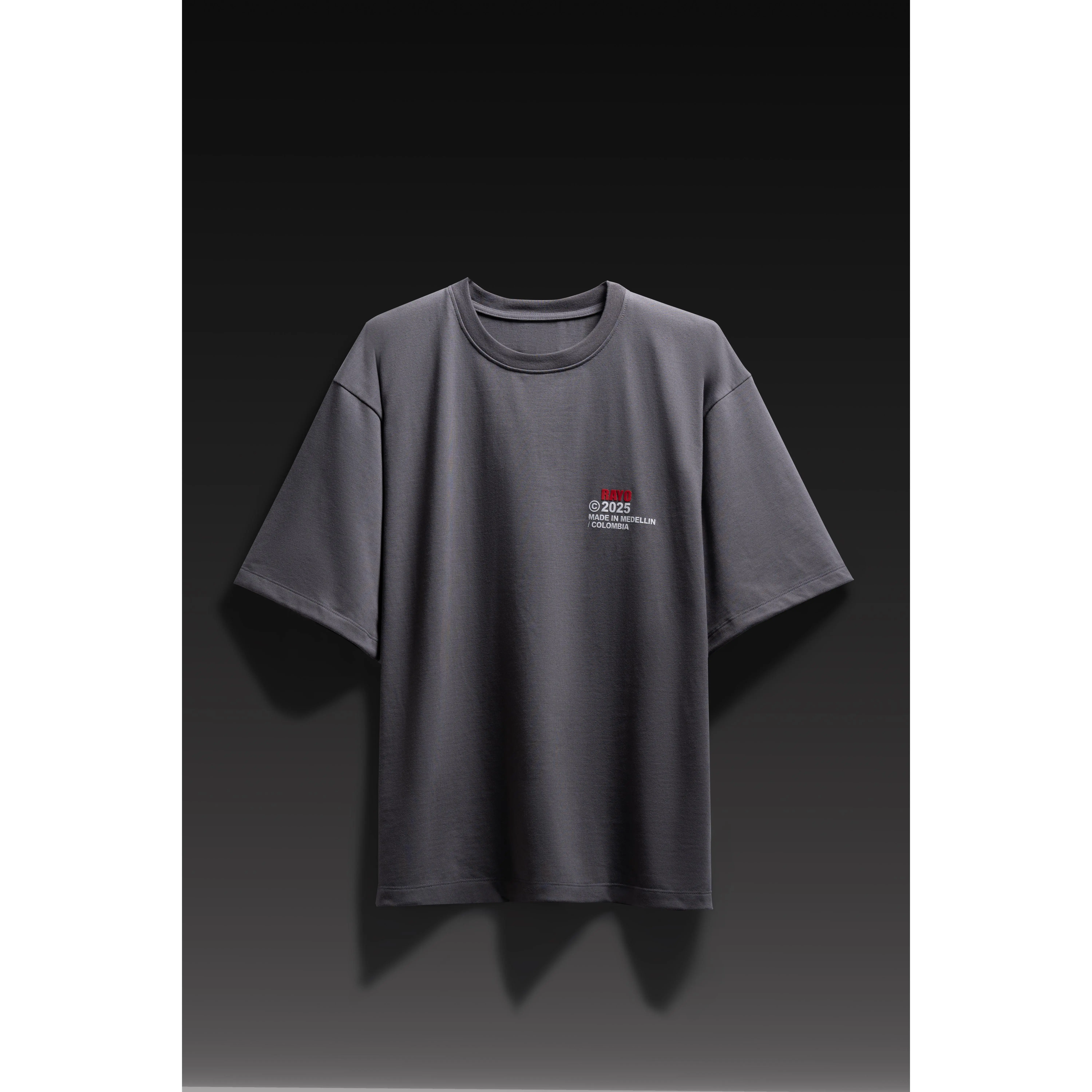 RAYO TOUR 2025 GREY T-SHIRT