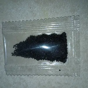 Hosta Seeds Perennial Shade Plant for Garden and Yard Non-GMO USA Made with Instructions for Easy Care and Versatile Growth