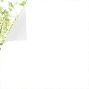PFW 486 Frosted White Privacy Window Film