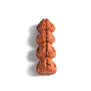 Roong /Golden Toad Walnuts 2026 01SS -Wenwan walnut-Unhandled walnut Premium Grade -Oxford Red Patina - Hand-Cleaned & Vacuum-Sealed - Beijing, China Origin/Anxiety toys/stressrelieftoys/Manifest happiness