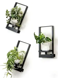1PC Wall Plant Holder – Window Plant Shelf Rack for Indoor Plants, Wall Mounted Pot Stand for Living Room, Bedroom & Home Office