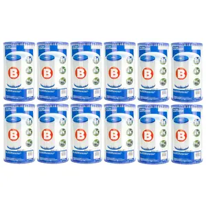 Intex Pool Easy Set Type B Replacement Filter Pump Cartridge (12 Pack) | 29005E