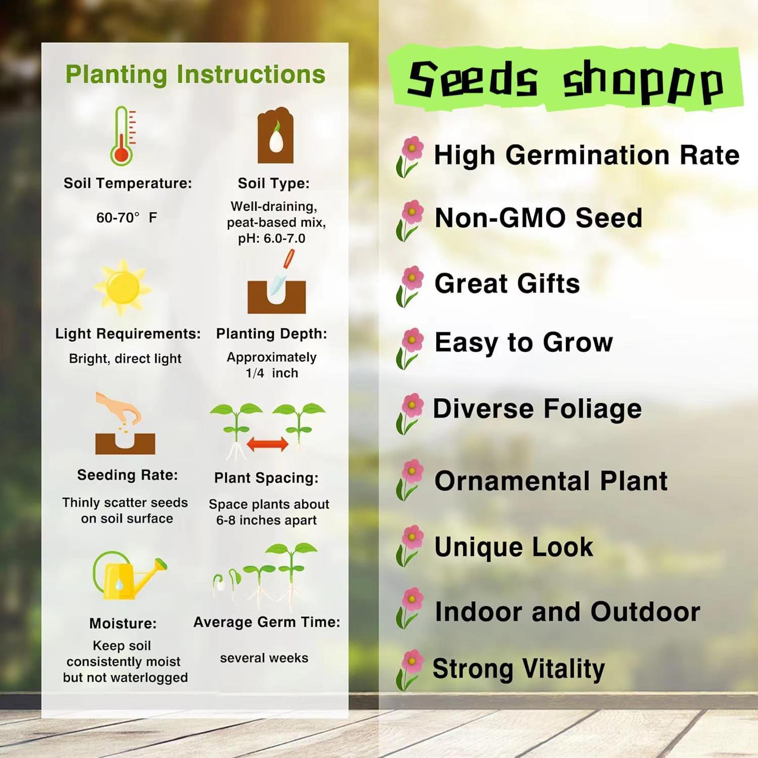 GARDEN 30PCS Bonsai Tree Japanese Sakura Seeds Rare Japanese Cherry Blossoms Flowers Seeds in Bonsai Pink Prunus Serrulata Fragrant Fast-Growing Low-Maintenance