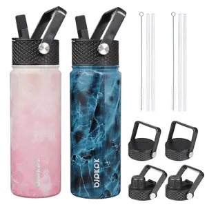 2 Pack Insulated Water Bottles With Straw Lids  22oz Stainless Steel Metal Bottle 6 Leak Proof Bpa Free Thermos Cups Flasks For Travel Sports (blossom+ocean)
