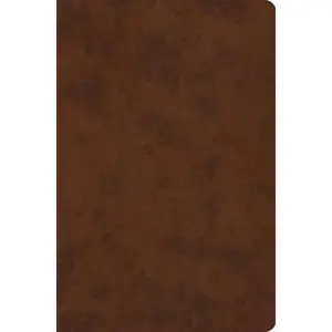 USED-Value Compact Bible-ESV by ESV Bibles (Imitation Leather)