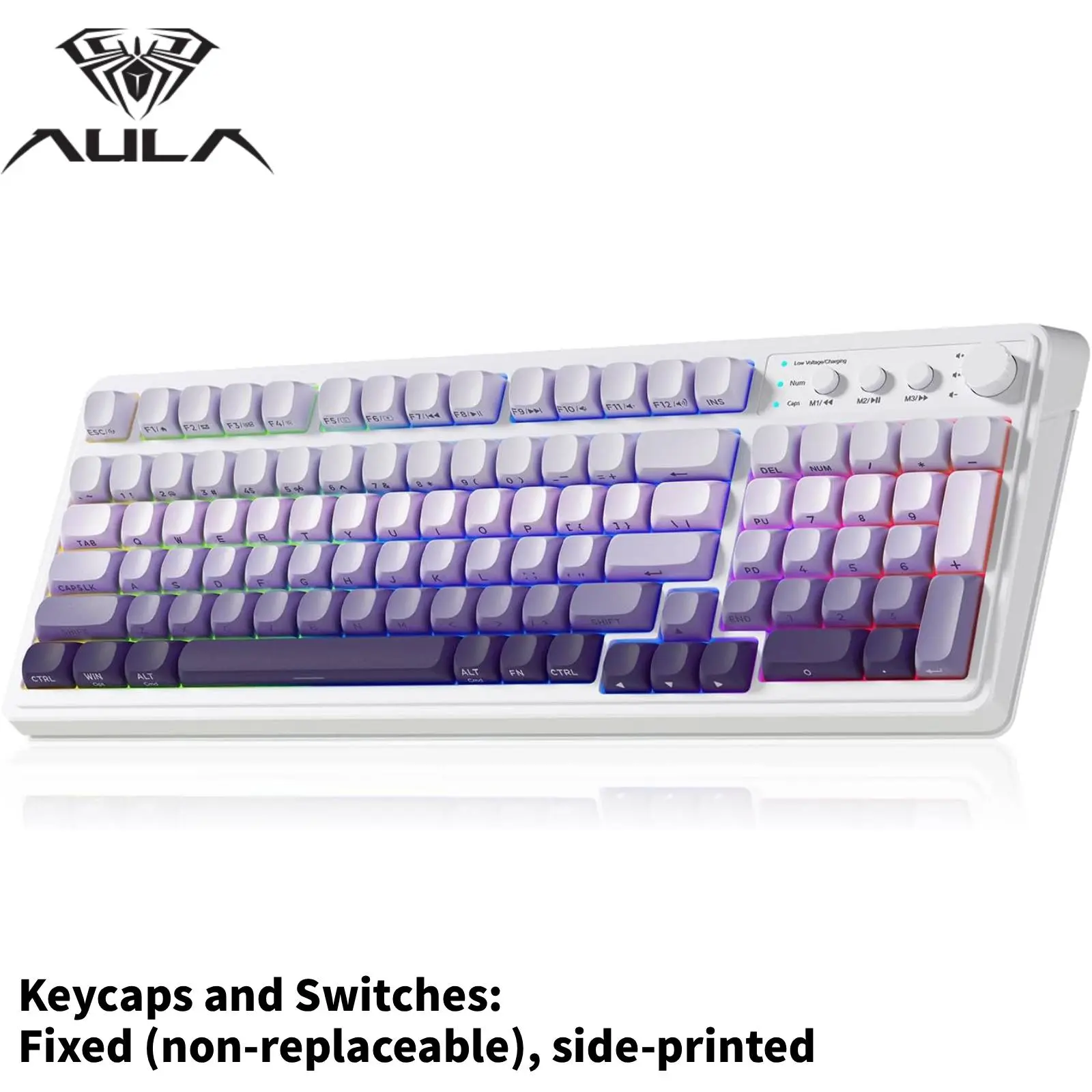 Enchanted Plum (Gradient Purple) 