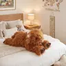 CUCKOOL Soft Weighted Lavender-Scented Highland Cow Stuffed Animal - Latex-Free Microwavable Heat Pad, Anxiety Relief, Whimsical GF Gift, Quirky Cool Unique Adult Gift, Heatable Stitched Plush Toy, Quirky Gifts
