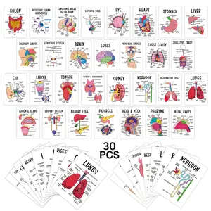 30 Organ Flashcards, Human Body System Cards, Medical & Nursing Guide, Anatomy Study Aids, Key Terms Diagrams, Learning Materials, Vocabulary Flashcards