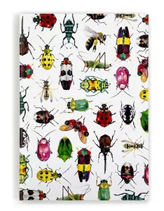 Critters 1 Notebook