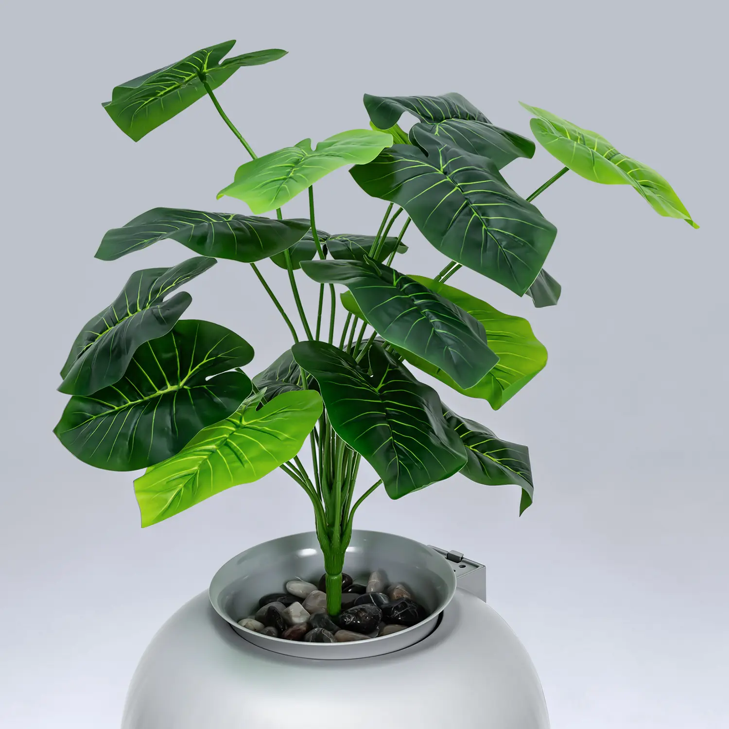 watering globes for outdoor plants Blumat Clear Globe Sets  Self-Watering Spikes for Houseplants