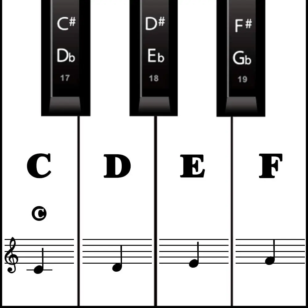 Piano Keyboard Stickers for Beginners,  & Protective Piano Key Labels, Piano Note Stickers Overlay for Full Size Pianos (Black)