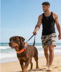 Premium Heavy-Duty Nylon Dog Collar - Extra Wide, Padded, with Stainless Steel Buckle Adjustable Pet Collar, Durable Dog Collar for Medium Large Dogs Cats for Outings, Dog Supplies, Pets Supplies, Christmas Gift