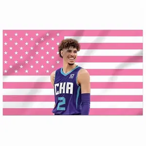 LaMelo Ball Decorative Flag Pink American Cool Banner Funny Tapestry With Two Grommets For College Dorm Room Guys Porch