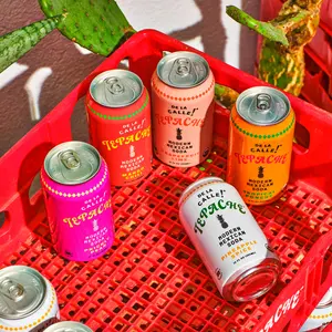 Modern Mexican Soda - Mixta Variety Pack - Craft Fermented Pineapple Sparkling Beverage - Certified Organic, Antioxidant Rich, Non-Alcoholic, Healthy Soda, Low Sugar, Low Calorie, Non-GMO