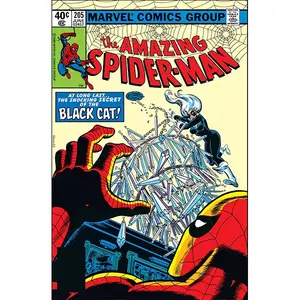 Marvel Comics The Amazing Spider-Man #205 1980