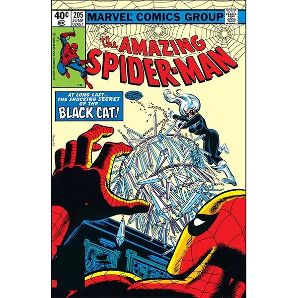 Marvel Comics The Amazing Spider-Man #205 1980