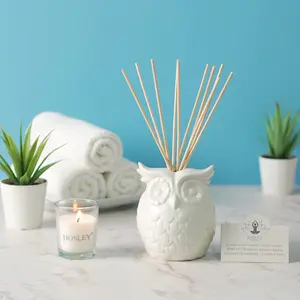 Ceramic Owl Toasted Vanilla and Lavender Scented Reed Diffuser Sets