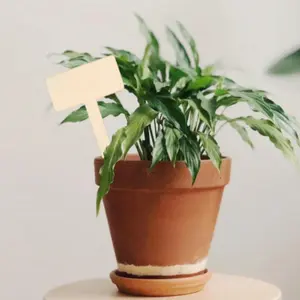 Wooden handicrafts, floral plaques, succulent labels, landscape signs, carved earth wooden plaques, and wooden chips