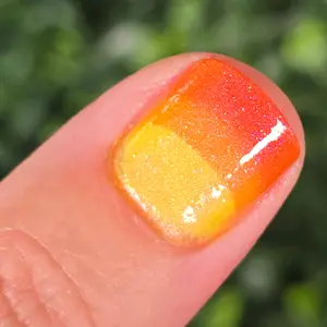 Tequila Sunrise | A Tri-Thermal Polish that Shifts from Red to Orange to Yellow with a Pink to Green Aurora Shimmer and Tiny Champagne Reflective Holo Glitter