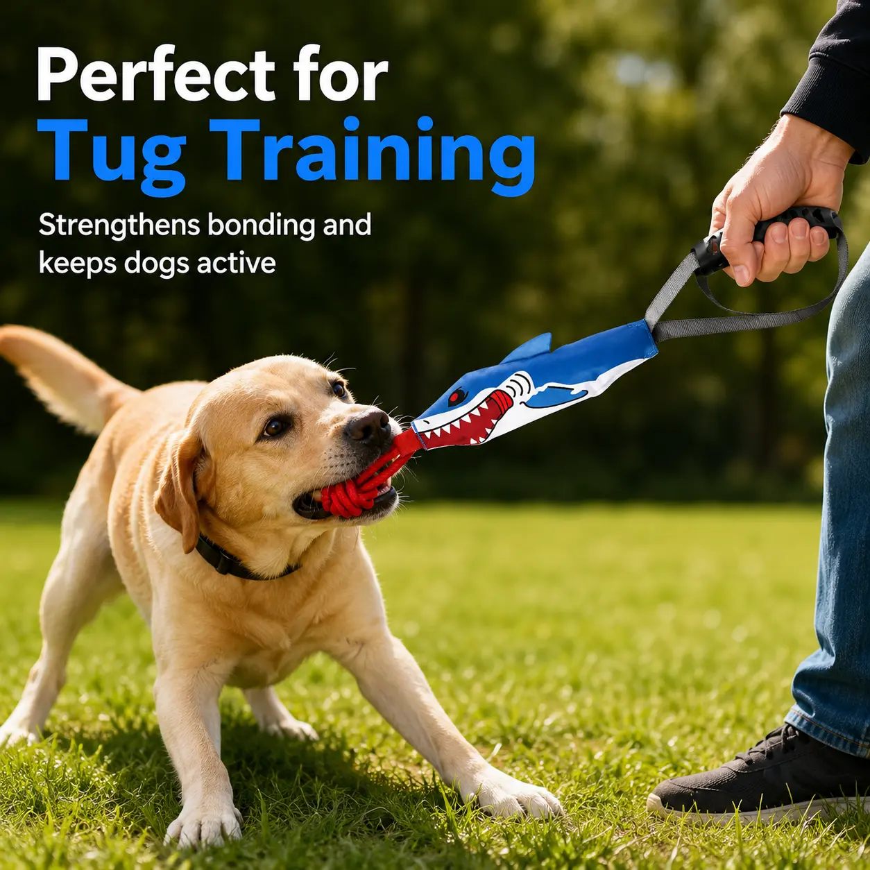 Tough Dog Rope Toy for Aggressive Chewers, Interactive Squeaky Tug Ball Toy for Training and Tug of War, for Medium and Large Dogs, Shark