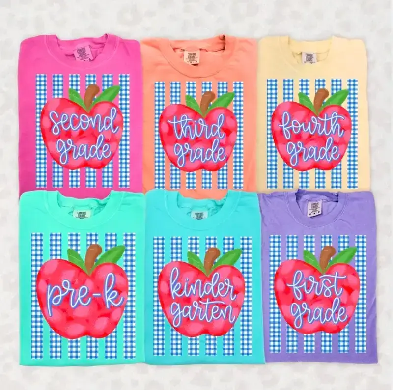 Comfort Colors Personalized Teacher Shirt, Pink Gingham Apple Teacher Tee, Teach Love Inspire, Pre-K to 4th Grade Back to School Gift, Coquette Floral Shirt, Full Size, Full Color