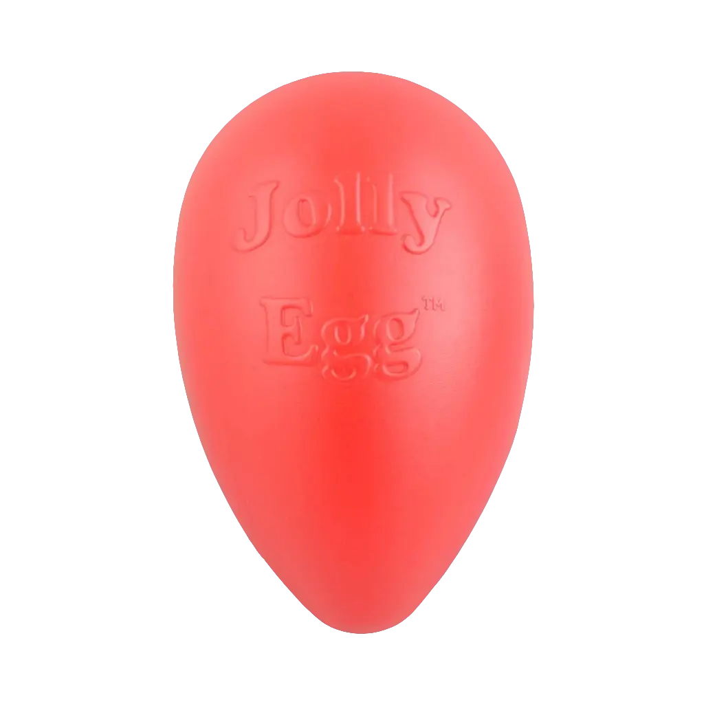 Jolly Egg-Shaped Dog Toy – Unpredictable Bouncing Fun for Chasing & Water Play!