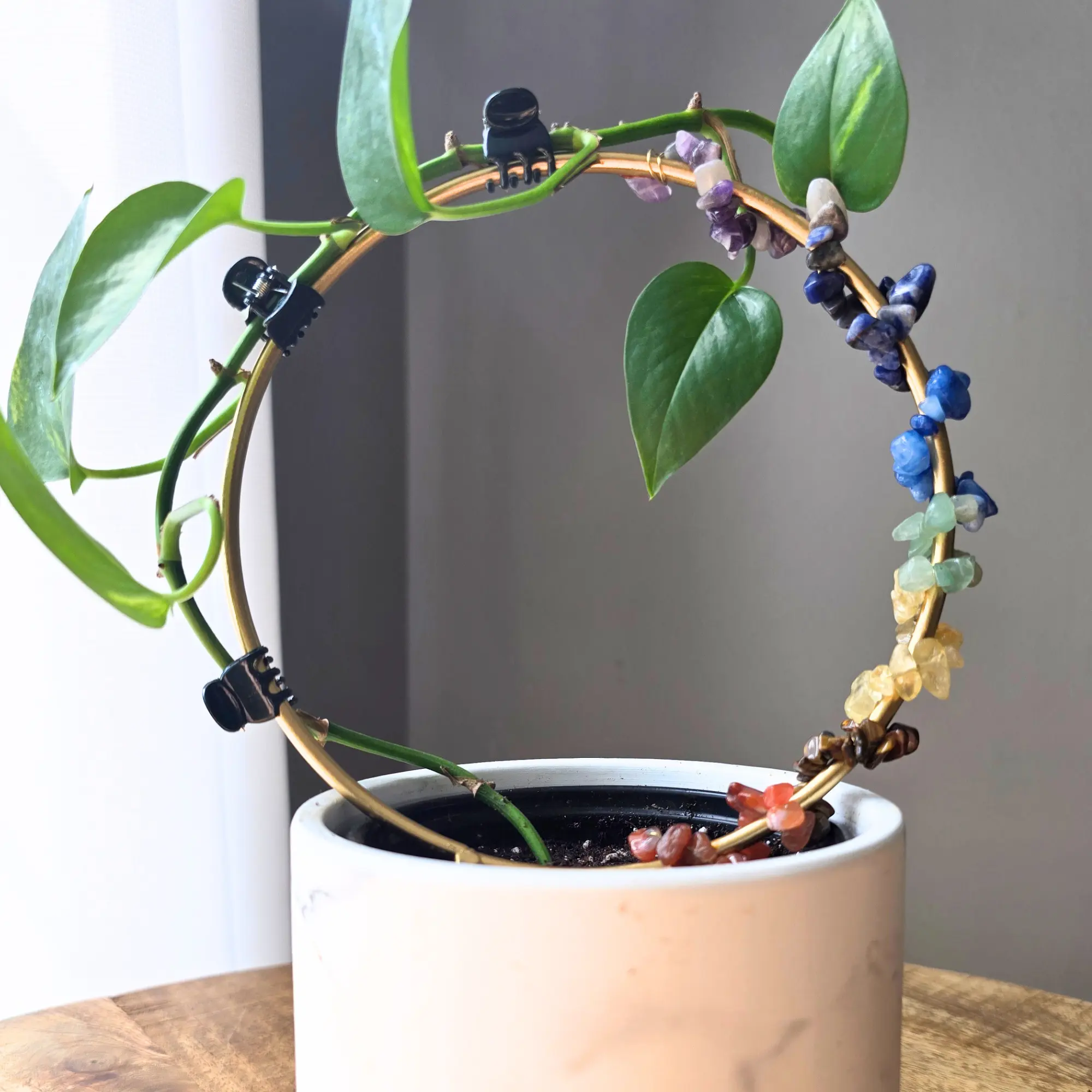 Single Loop Trellis