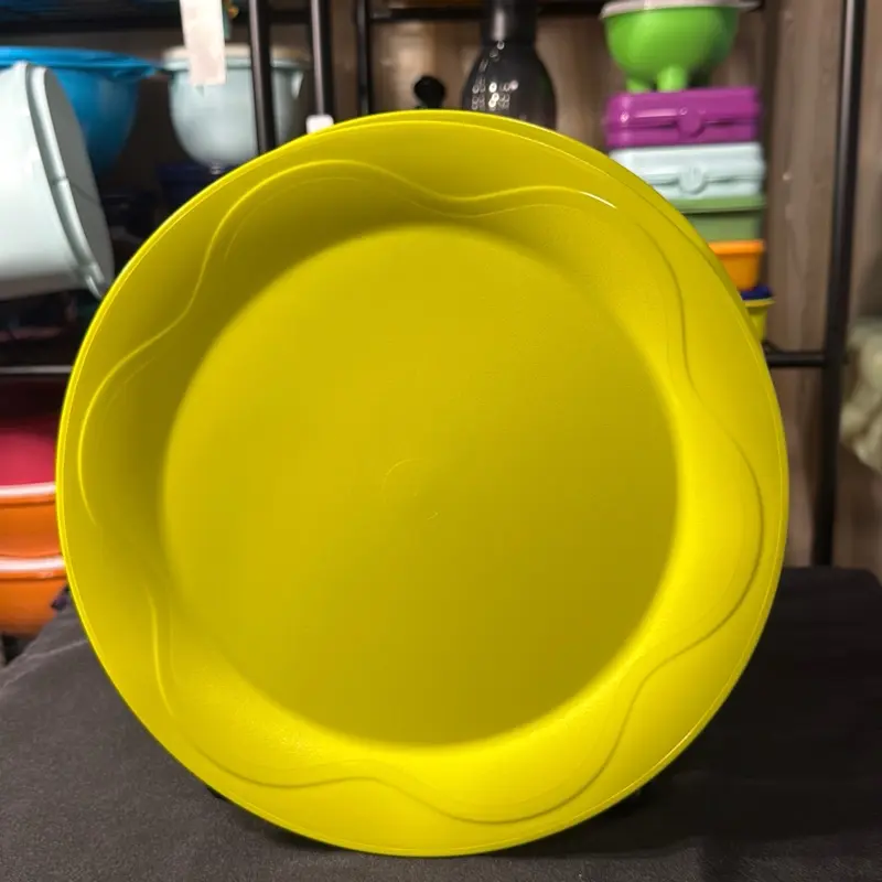 Tupperware Floresta Dinner Plates
