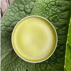 Organic Comfrey Salve All Natural 2 oz -Therapy for Joint Pain Relief & Skin Ailments
