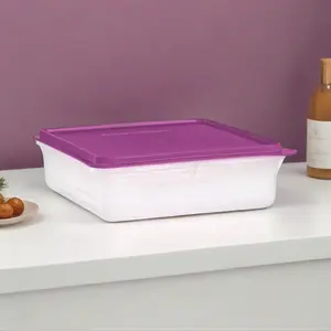 Snack Storage Container Cookies, cupcakes and more!
