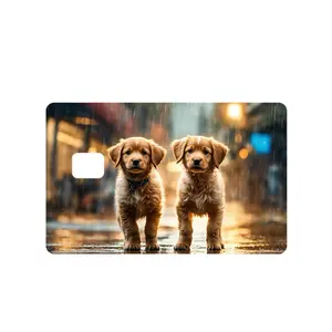 Golden Retriever Puppies Credit Debit EBT Chip Card Vinyl High Gloss Cover Sticker Decorative Waterproof Stain Resistant