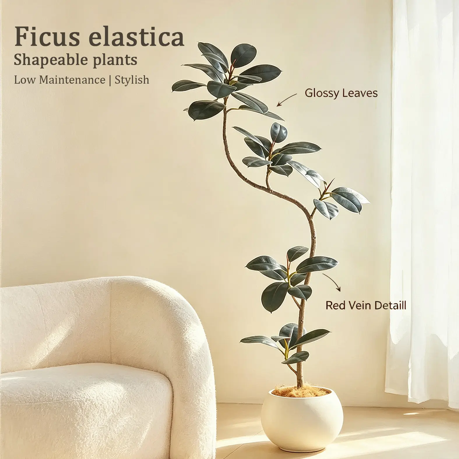 Ficus Elastica Rubber Plant, Tropical Green Foliage Houseplant with Glossy Large Leaves, Indoor Home Office Decor for Plant Lovers, Beginner Friendly Greenery Gift, Stylish Botanical Accent