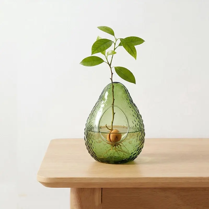 Avocado Hydroponic Vase, Avocado Seed Kernel Water Culture Glass Bottle, Plant Growing Container, Cute Style, Decorative Vase, Modern Plant Vase, Table Decor, Glass Vases, Decorative Vases For Home Decor, 1pc