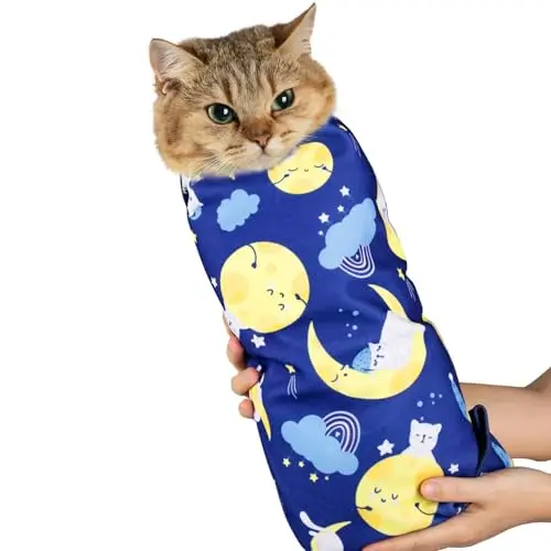 Moon Cat
