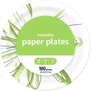 100 Count  Disposable Paper Plates for Party and Everyday Use