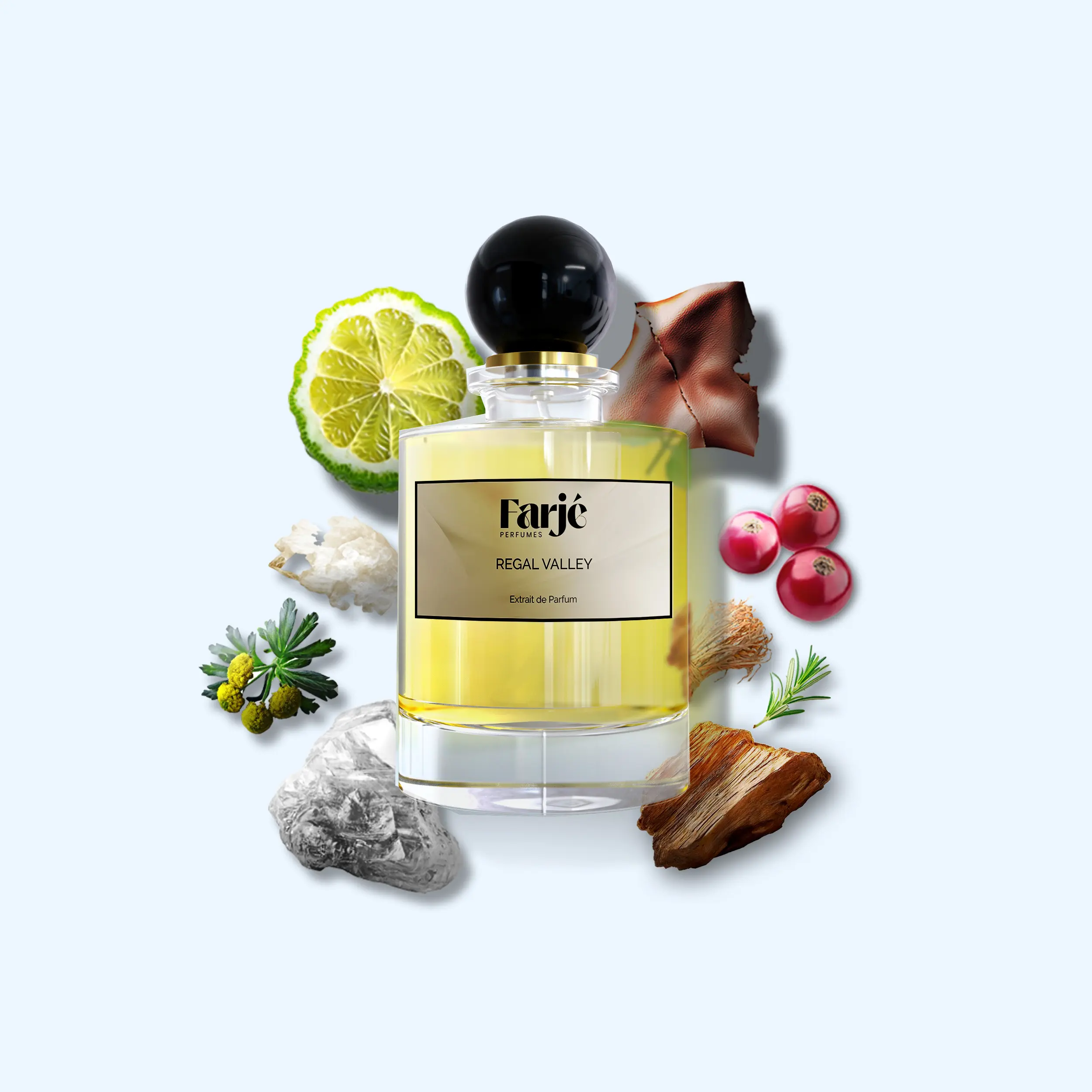 Regal Valley by Farjé Perfumes - Unisex Extrait de Parfum 30ml - Aromatic, Leather, Oud, Fresh Spicy, Amber - Artfully crafted with the finest niche-quality ingredients
