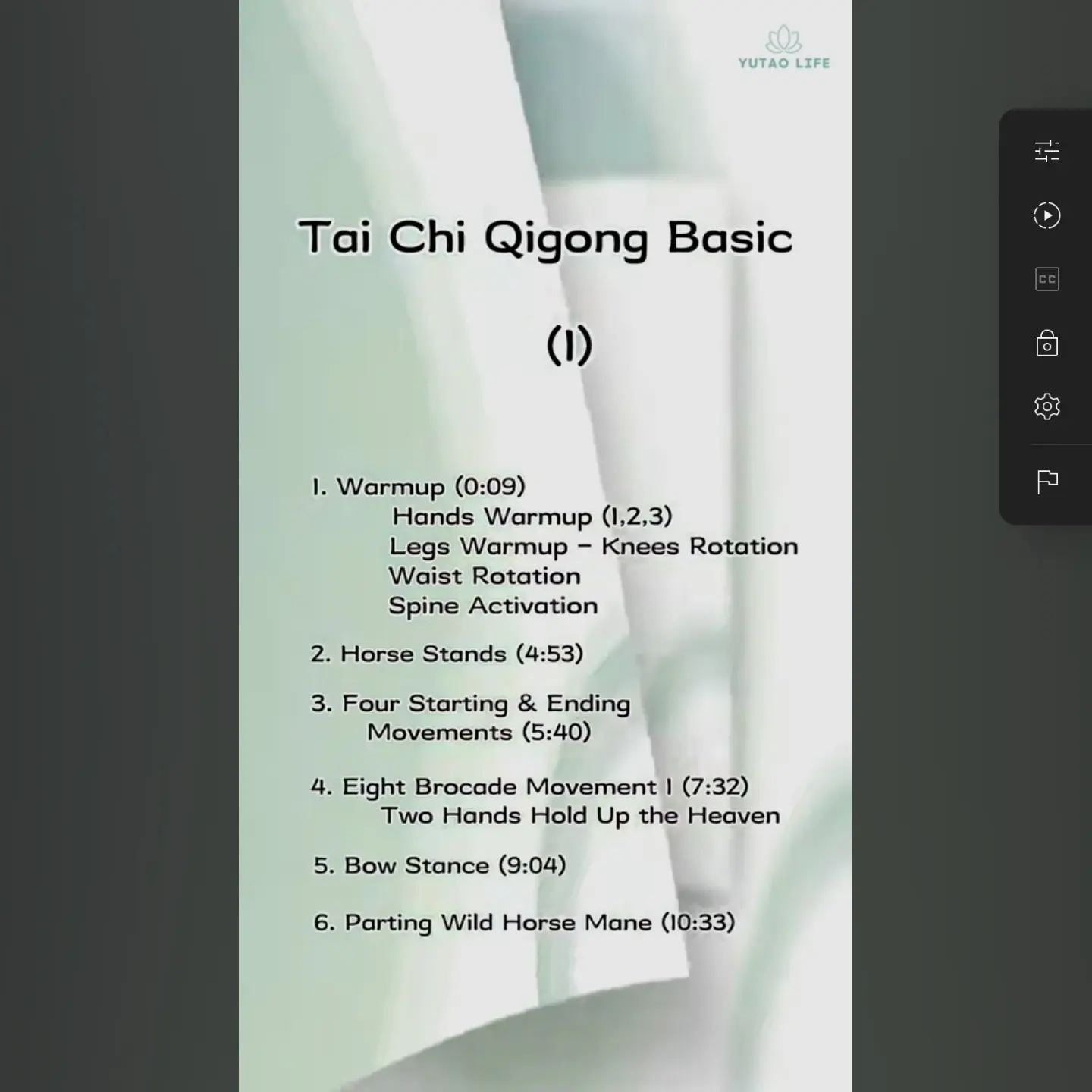Tai Chi Qigong Basic