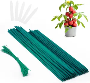 Plant Stakes 50 PCS Garden Green Bamboo Sticks Plant Support Stakes Indoor and Outdoor Plants