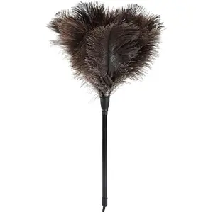 Ostrich  Duster 14.9 inch  Mini Dusters with Plastic Handheld for Cleaning  Keyboard Office 1 count