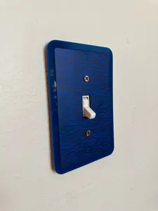 2 Blue Zebra Print Light Switch Cover